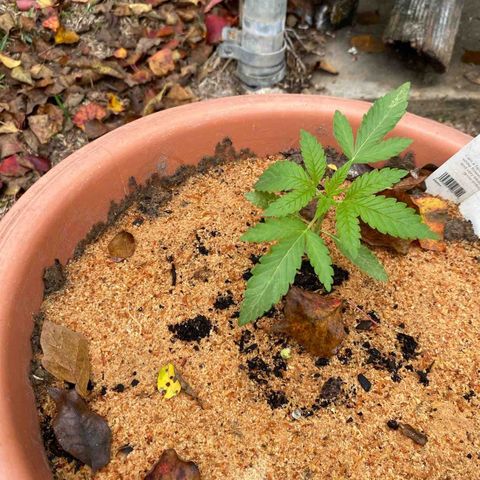 Katherine Ann growlog photo: Anne Claire (@Nelly’s)
