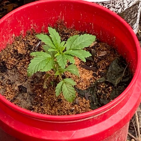 Katherine Ann growlog timeline photo