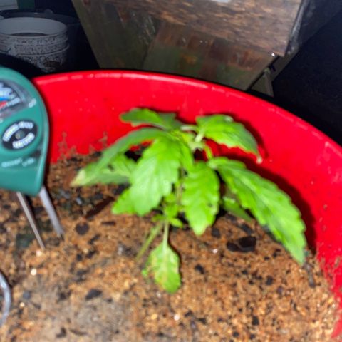 Katherine Ann growlog timeline photo