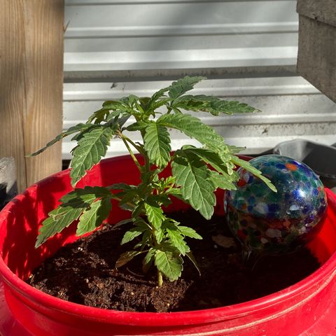 Katherine Ann growlog timeline photo