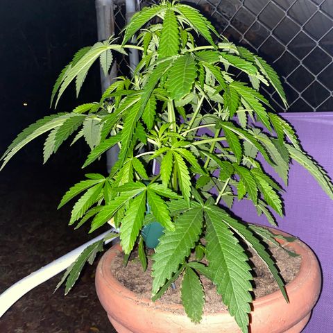Audrey Marie growlog photo: Day after rain. Temperature around 40-45 degrees