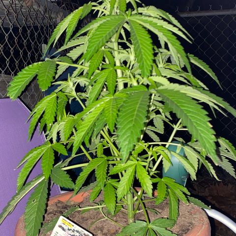 Audrey Marie growlog photo: Day after rain. Temperature around 40-45 degrees