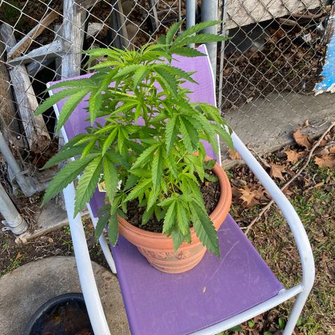 Audrey Marie growlog photo: Sunny warmer weather 