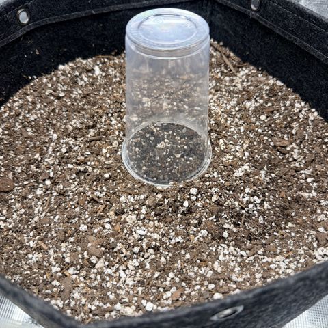 Northern Light Auto RQS growlog photo: Still moist under the cup so no water added