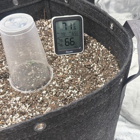 Northern Light Auto RQS growlog timeline photo