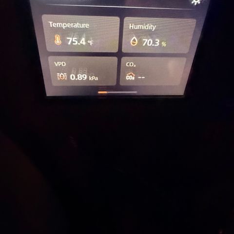 Northern Light Auto RQS growlog timeline photo
