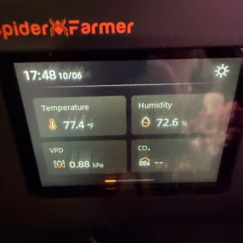 Northern Light Auto RQS growlog timeline photo