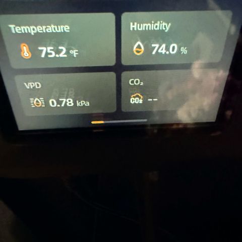 Northern Light Auto RQS growlog timeline photo
