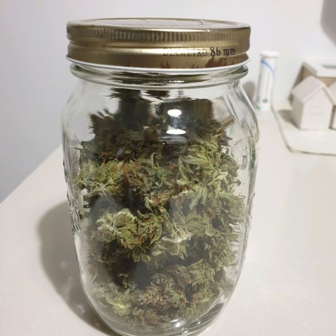 Florinda growlog timeline photo