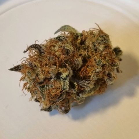 Apple strudel auto 420fb growlog timeline photo