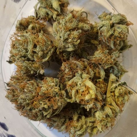 Apple strudel auto 420fb growlog timeline photo
