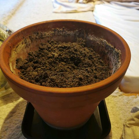 Auto Acid growlog timeline photo