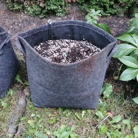 Stress Killer Automatic growlog timeline photo