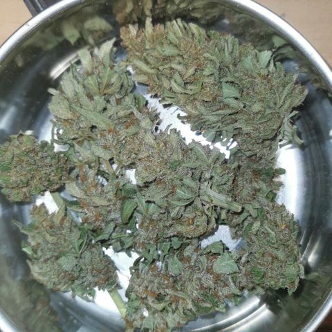 Auto Acid growlog timeline photo