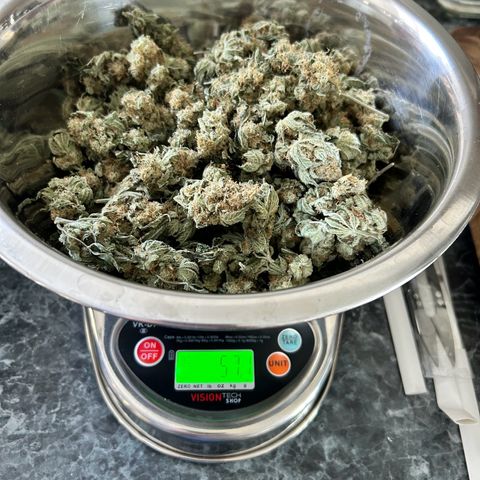 Pineapple Chunk growlog timeline photo
