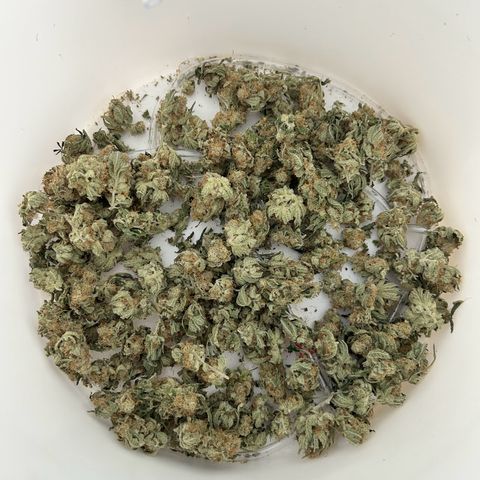Pineapple Chunk growlog timeline photo