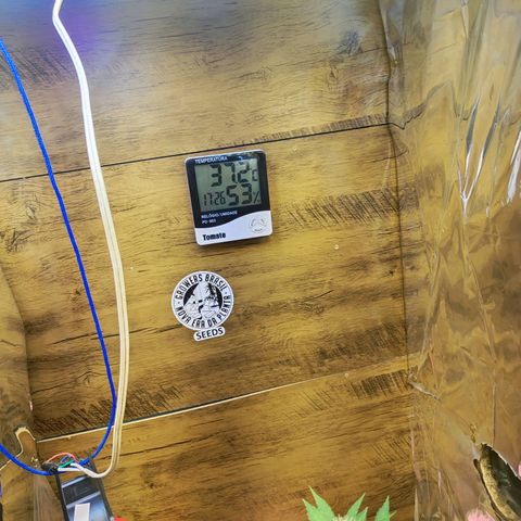 Mary Jane growlog timeline photo
