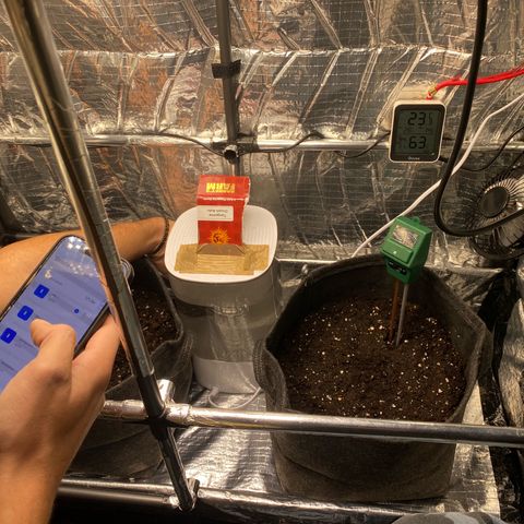 Ghideon growlog photo: Trapianto dei semi nei vasi finali