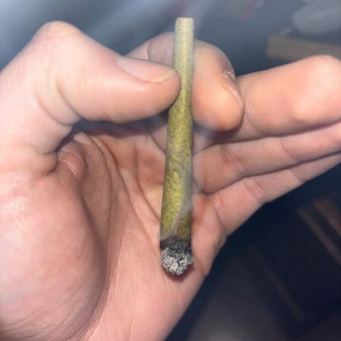 Santana growlog photo: Wow pluffff💨💨💨