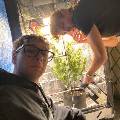 Ghideon growlog timeline photo