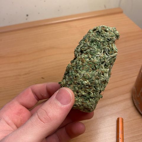 Santana growlog photo: santana “pressato”