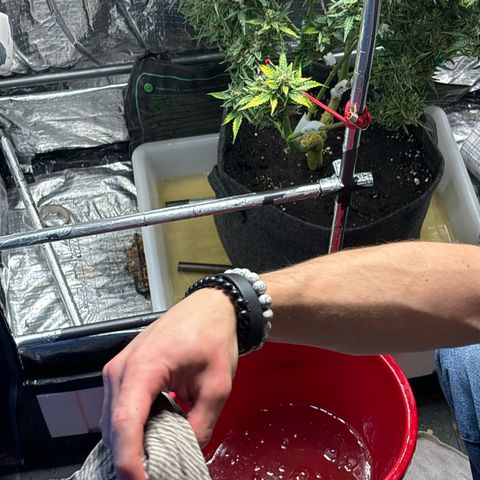 Ghideon growlog timeline photo