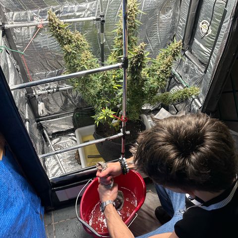 Ghideon growlog timeline photo