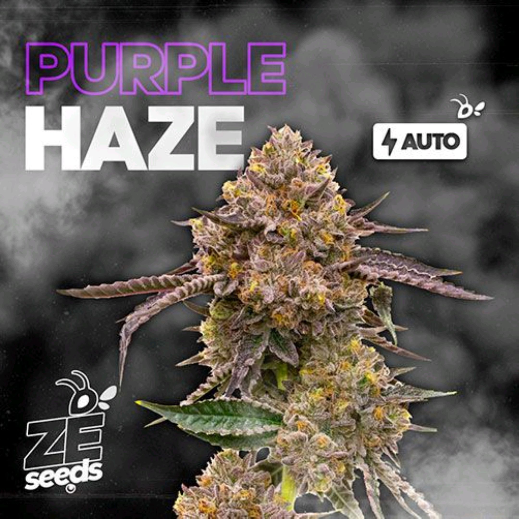 Purple Haze growlog header
