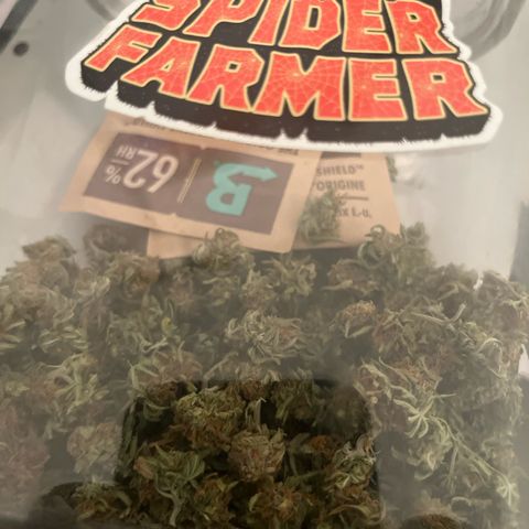 F1 milky way hybrid  growlog photo: Already been smoking this