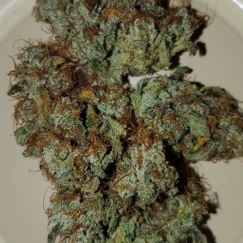 Birthday Cake Oreoz #1 growlog timeline photo
