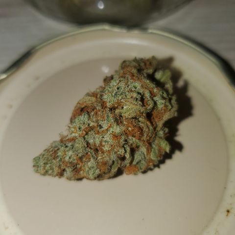 Beary Oreoz  #3 growlog timeline photo