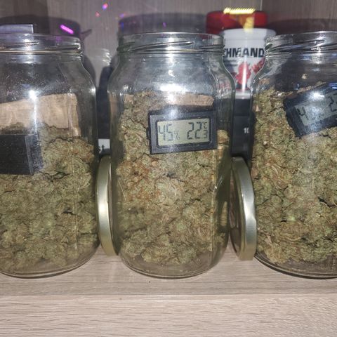 Beary Oreoz  #3 growlog timeline photo