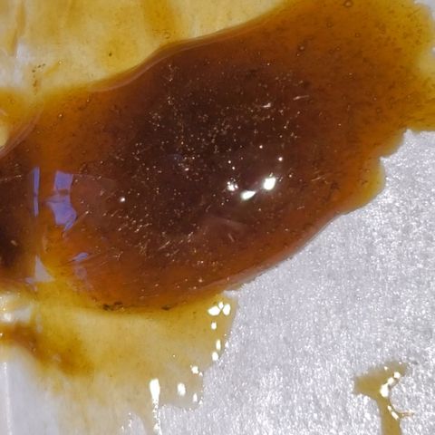 Black Cherry Gushers #1 growlog photo: Fresh flower press
Uncured + cured! 💯