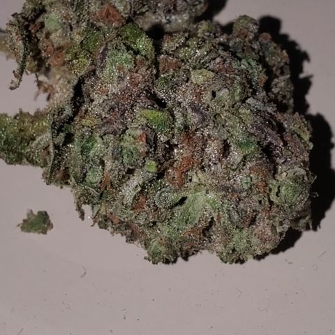 Lemon Cherry Gelato #1 growlog timeline photo