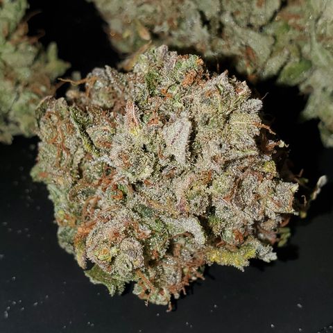 Auto Cream Mandarine  growlog timeline photo