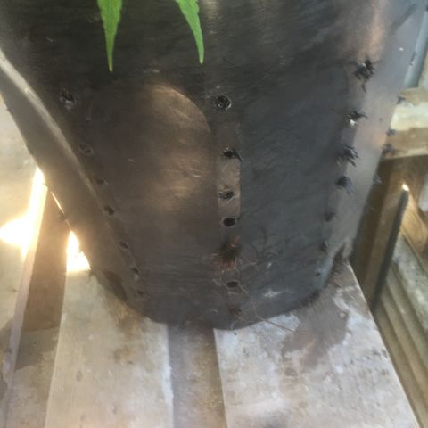 Piro growlog photo: Percage du pot 