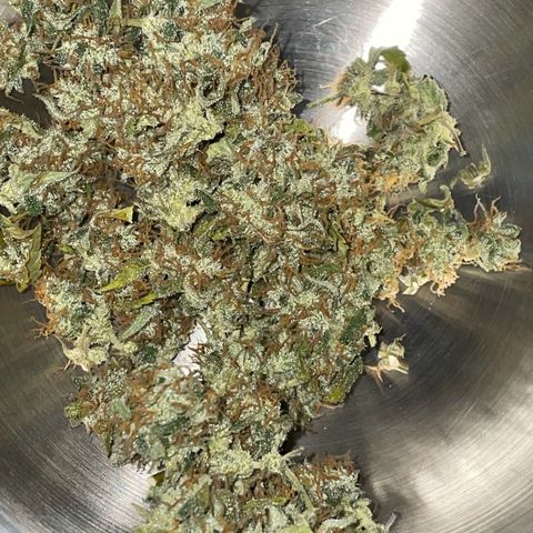 Royal Haze Automatic growlog timeline photo