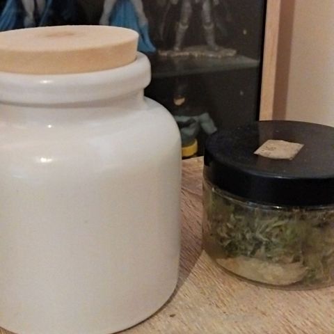Special kush 1  growlog timeline photo
