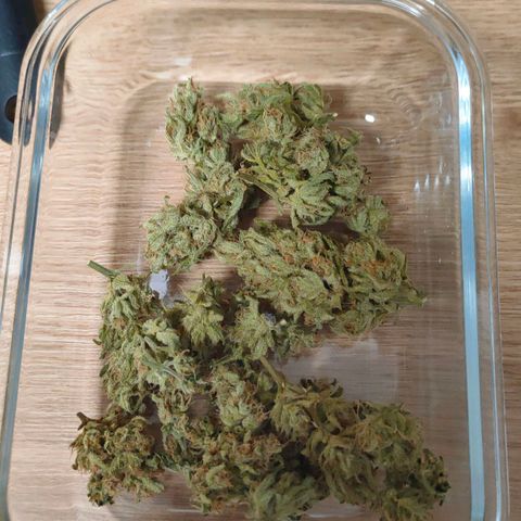 Highke growlog timeline photo