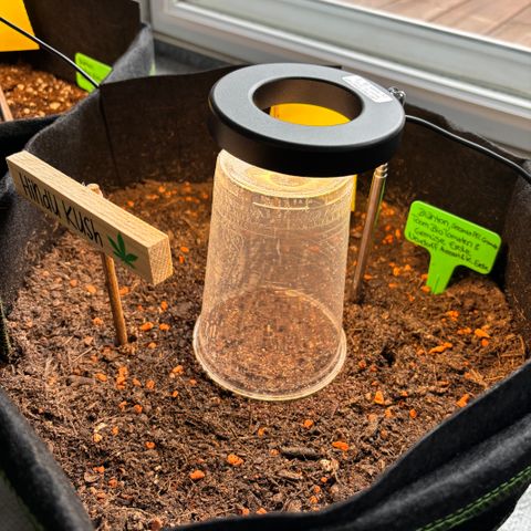 Hindu Kush growlog timeline photo