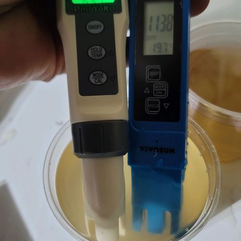 Blueberry Muffin growlog photo: Soil runoff ph testing and house water testing been using distilled water for a while watering plants