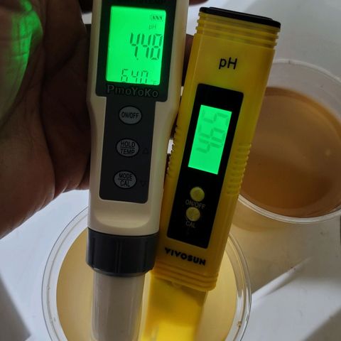 Blueberry Muffin growlog photo: Soil runoff ph testing and house water testing been using distilled water for a while watering plants