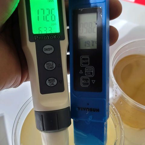 Blueberry Muffin growlog photo: Soil runoff ph testing and house water testing been using distilled water for a while watering plants