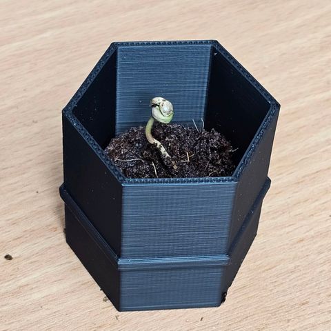 Bag Seed #1 growlog timeline photo