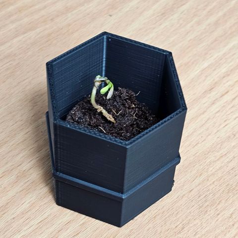 Bag Seed #1 growlog timeline photo