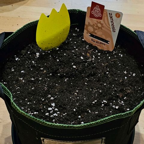 Do-Si-Dos #1 growlog timeline photo