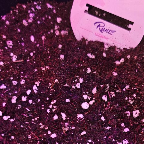 Runtz Auto growlog timeline photo