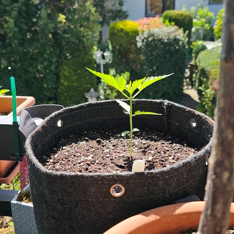 Hyperion F1 growlog timeline photo