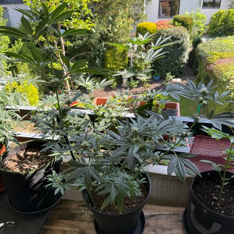 12.2. growlog timeline photo