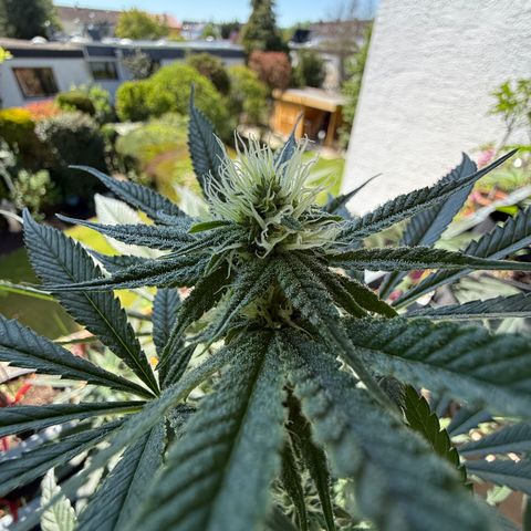 12.2. growlog timeline photo